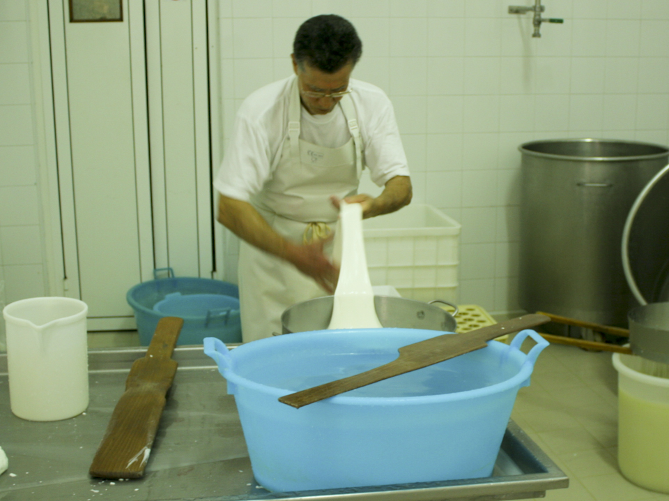 Making mozzarella