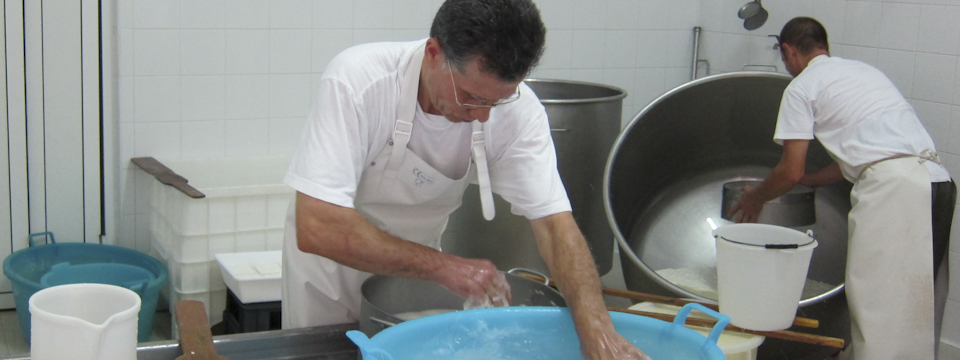 Making mozzarella