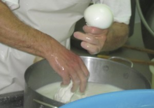 Making mozzarella