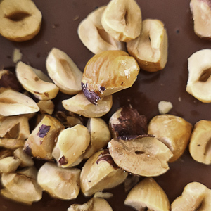 Chocolate panna cotta